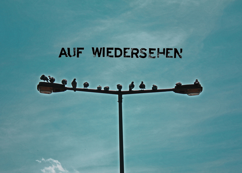 Auf Wiedersehen Vögel - Postkarte jetzt online verschicken