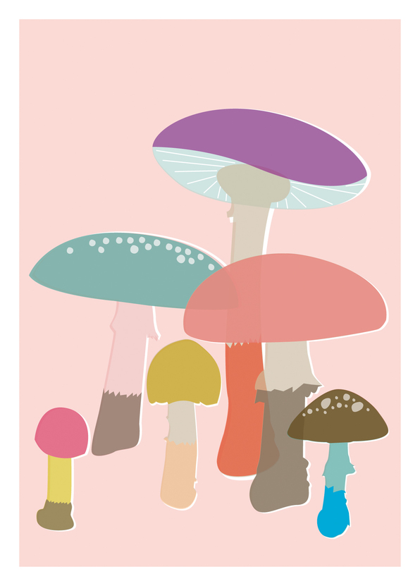 Pilze - Postkarte jetzt online verschicken